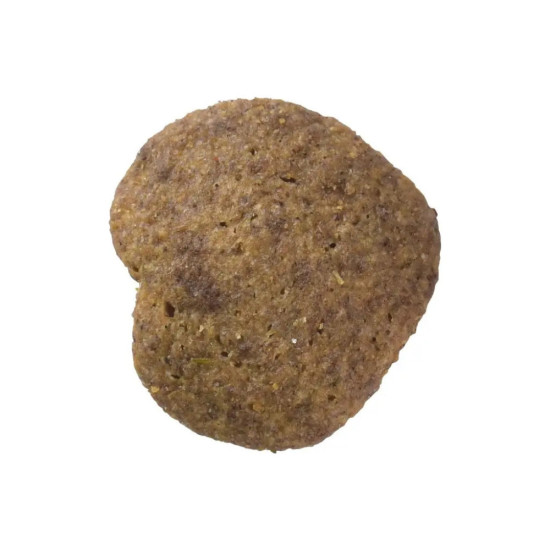 Ласощі для котів Brit Care Superfruits Insect 100 г - комахи (8595602555703)