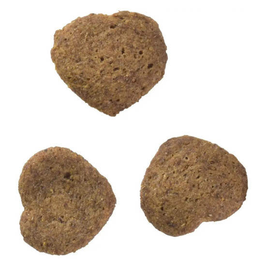 Ласощі для котів Brit Care Superfruits Insect 100 г - комахи (8595602555703)