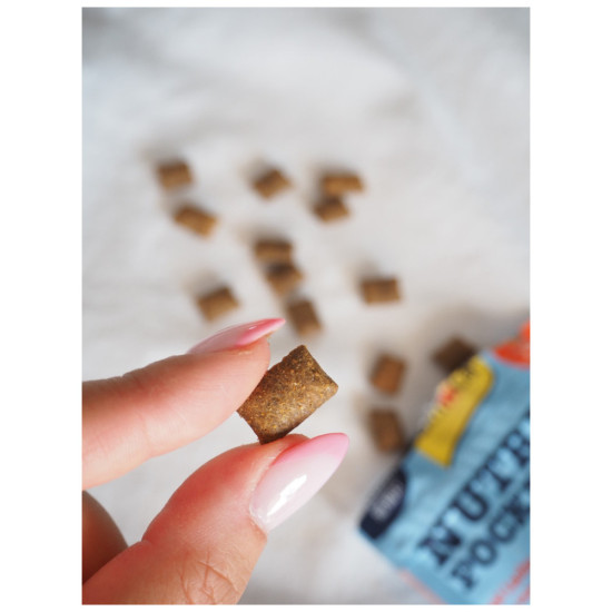 Ласощі для котів GimCat Nutri Pockets Fish Лосось 60 г (4002064419626)