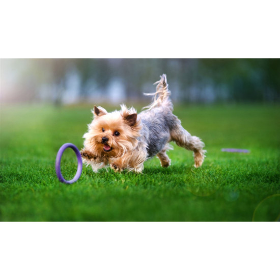 Іграшка для собак Puller Micro 13 см 2шт (6489)