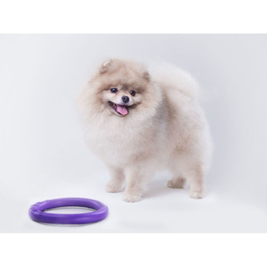 Іграшка для собак Puller Micro 13 см 2шт (6489)