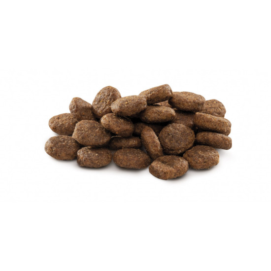 Сухий корм для собак Brit Premium Dog Junior L 3 кг (8595602526420)