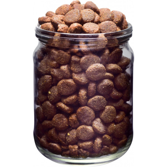 Сухий корм для собак Brit Fresh Beef/Pumpkin Puppy Large 12 кг (8595602530755)