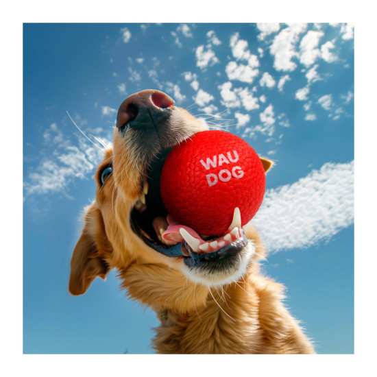 Іграшка для собак WAUDOG Fun Red Ball 70 мм (6001)