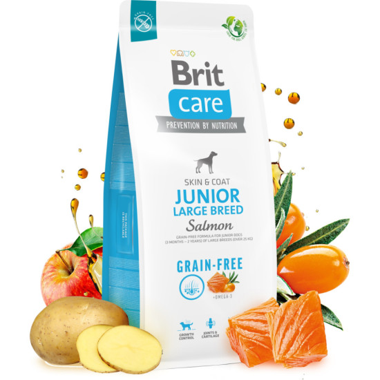 Сухий корм для собак Brit Care Dog Grain-free Junior Large Breed для великих порід з лососем 1 кг (8595602558889)