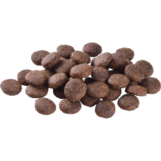 Сухий корм для собак Brit Care Dog Grain-free Junior Large Breed для великих порід з лососем 1 кг (8595602558889)