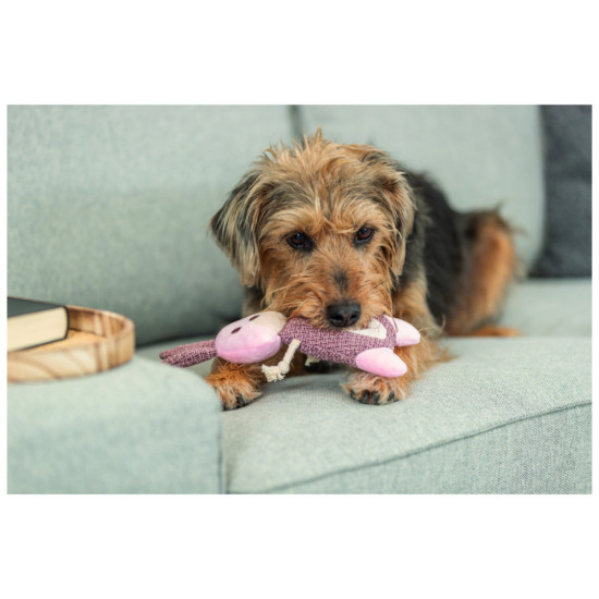 Іграшка для собак Trixie Заєць Тканина і плюш 24 см (4011905361543)