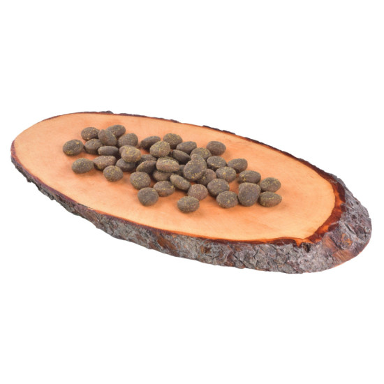 Сухий корм для собак Carnilove True Fresh FISH for Adult dogs 11.4 кг (8595602546015)