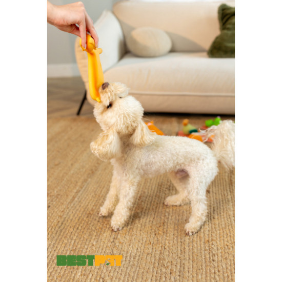 Іграшка для собак MISOKO&CO Собака коричневий 21 см (BEIRJ02939)