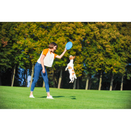 Іграшка для собак Collar PitchDog тарілка для апорту d:24 см рожева (62477)