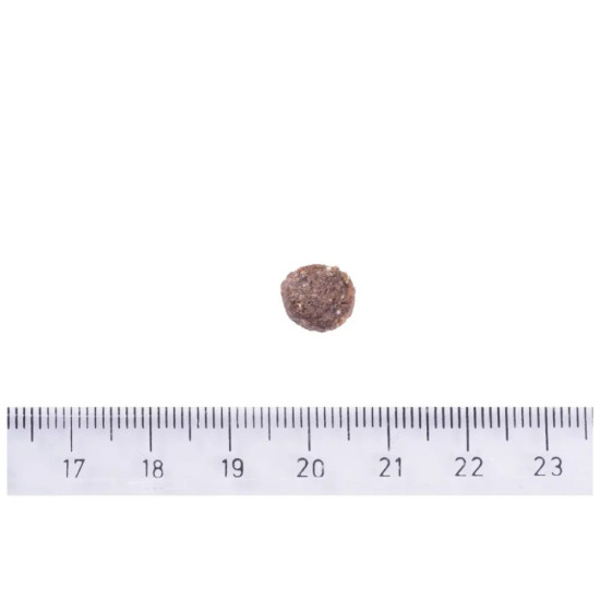 Сухий корм для собак Brit Care Dog Sustainable Activity для собак з підвищеною активністю 12 кг (8595602559220)