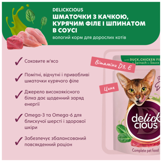 Вологий корм для кішок Delickcious Шматочки з качкою, курячим філе і шпинатом в соусі 85 г (4820269143142)