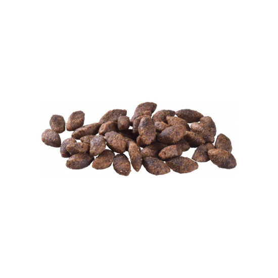 Сухий корм для собак Brit Care Dog Grain-free Sensitive беззерновий з олениною 12 кг (8595602559138)