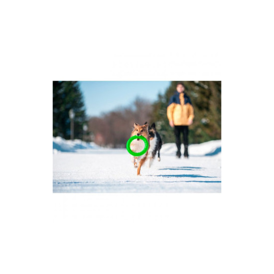 Іграшка для собак Collar PitchDog Кільце для апортування 17 см салатове (62365)