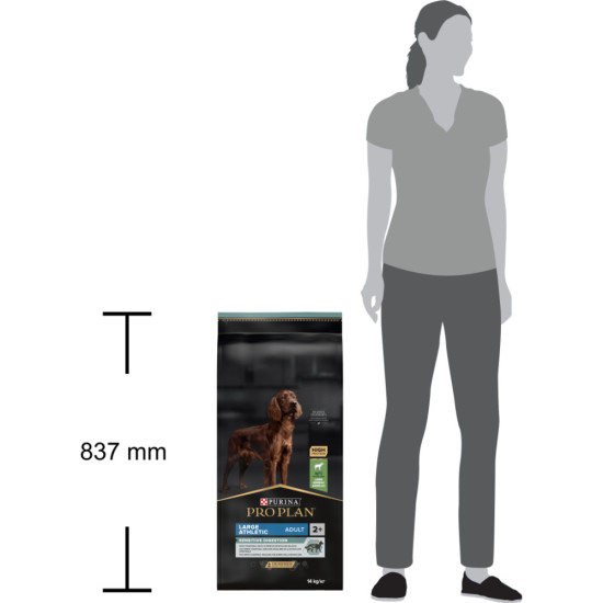 Сухий корм для собак Purina Pro Plan Large Athletic Adult 2+ Sensitive Digestion Для великих порід атлетичної статури З ягням 14 кг (7613035415591)