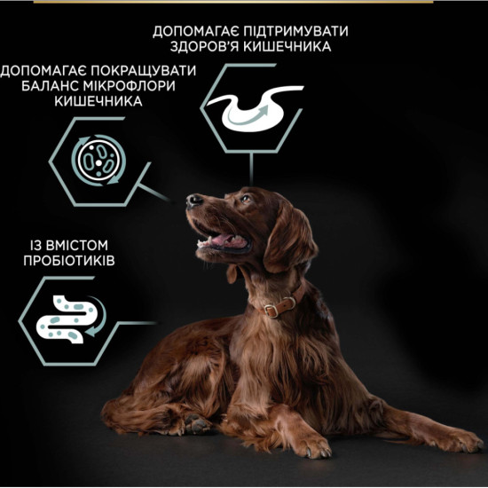 Сухий корм для собак Purina Pro Plan Large Athletic Adult 2+ Sensitive Digestion Для великих порід атлетичної статури З ягням 14 кг (7613035415591)