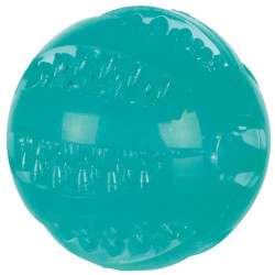 Іграшка для собак Trixie Denta Fun М'яч d 6 см (4011905336800)