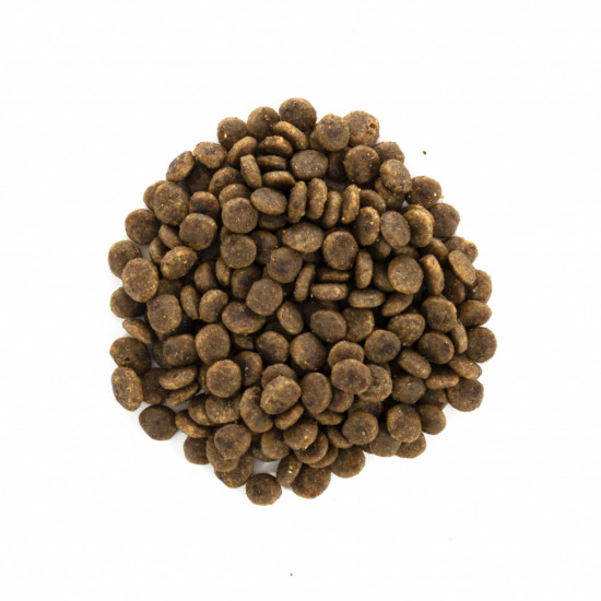 Сухий корм для кішок Brit Care Cat GF Sensitive HDigestion and Delicate Taste 7 кг (8595602540693)