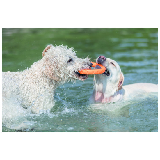 Іграшка для собак Trixie Кільце плавуче Для водних розваг Термопластична гума 17 см (4047974334430)