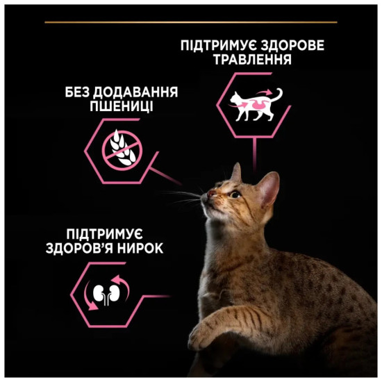 Сухий корм для кішок Purina Pro Plan Delicate Turkey зі смаком індички 10 кг (7613033566509)