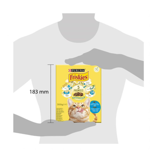 Сухий корм для кішок Purina Friskies зі смаком лосося й овочів 300 г (7613031868063)