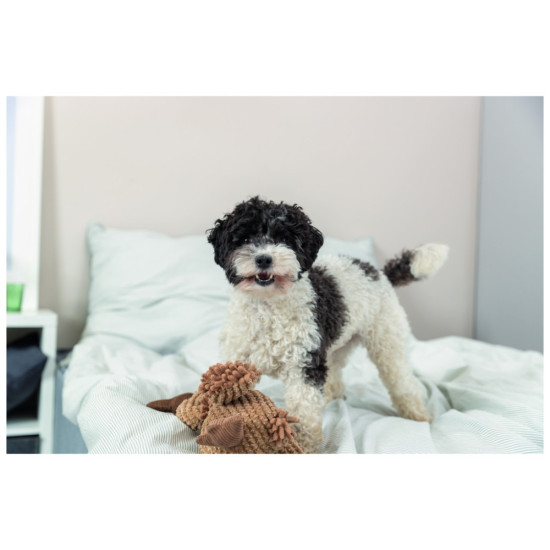 Іграшка для собак Trixie Гриф Густав Тканина і плюш 24 см (4011905359113)