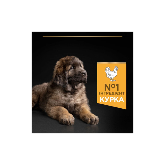 Сухий корм для собак Purina Pro Plan Dog Large Puppy Robust з куркою і рисом 12 кг (7613035120341)