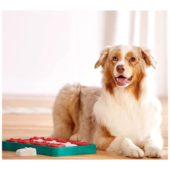 Іграшка для собак Nina Ottosson Brick (0700603673334)