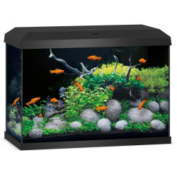 Акваріум Juwel прямий Primo 70 LED чорний (4022573255706)