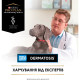Сухий корм для собак Purina Pro Plan Veterinary Diets DRM Dermatosis Для підтримання функції шкіри при дерматозах та надмірному випадінні шерсті 3 кг (7613035156289)