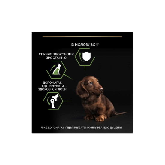 Сухий корм для собак Purina Pro Plan Dog Small&Mini Puppy з куркою і рисом 3 кг (7613035114340)