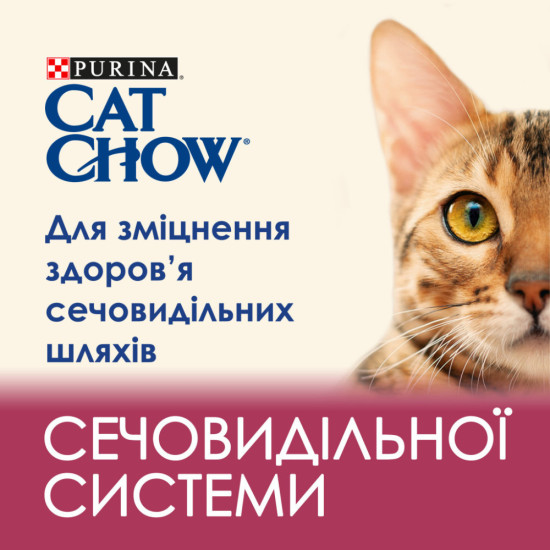 Сухий корм для кішок Purina Cat Chow Urinary Tract Health з куркою 15 кг (5997204514424)