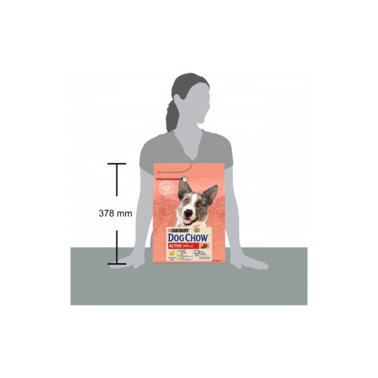 Сухий корм для собак Purina Dog Chow Active Adult зі смаком курки 2.5 кг (7613034487858)