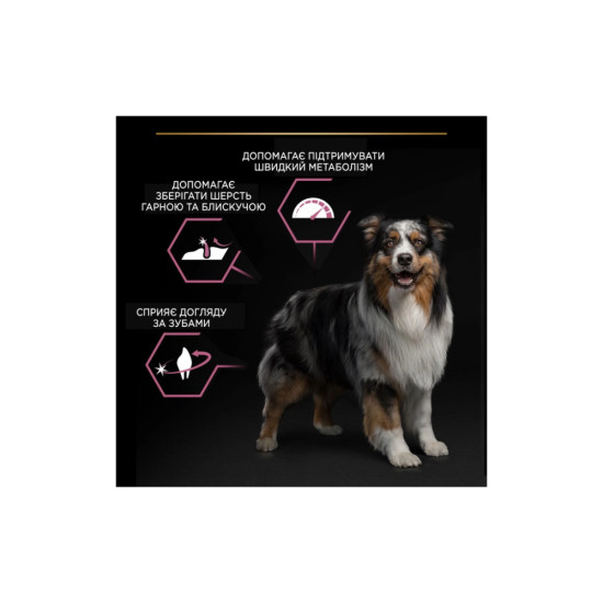 Сухий корм для собак Purina Pro Plan Dog Medium Adult Sensitive Skin з лососем і рисом 14 кг (7613035120464)