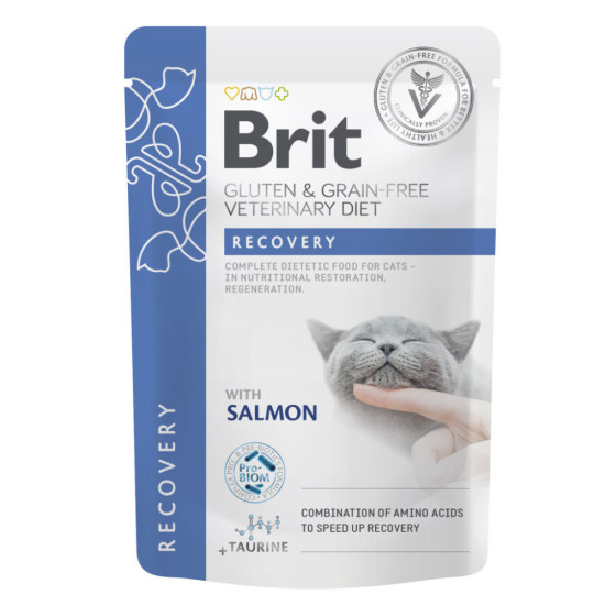 Вологий корм для кішок Brit GF VetDiets Recovery з лососем 85 г (8595602566693)