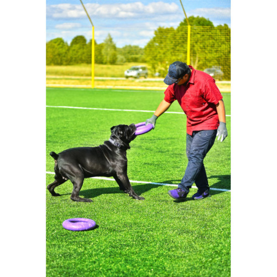 Іграшка для собак Puller Maxi 30 см (6492)