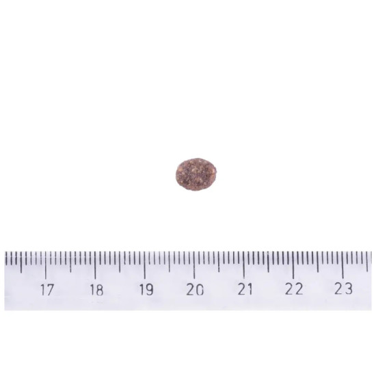 Сухий корм для собак Brit Care Dog Sustainable Adult Small Breed з куркою та комахами 1 кг (8595602558674)