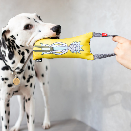 Іграшка для собак WAUDOG Fun "Рік і Морті 2" з пискавкою S (629-0281)