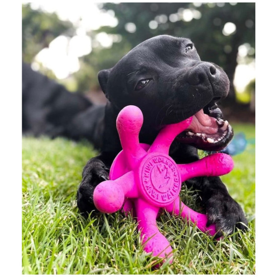 Іграшка для собак Kiwi Walker Восьминіг 13 см рожева (8596075002794)