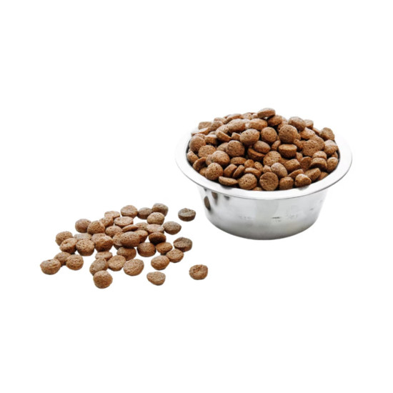 Сухий корм для собак Wise Dog Junior 10 кг (4820111141234)