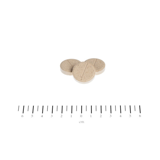 Вітаміни для собак Canina Biotin Forte Інтенсивний курс для шерсті 30 таблеток (4027565101092)