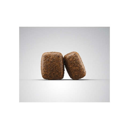 Сухий корм для собак Josera Nature Energetic 900 г (4032254745341)