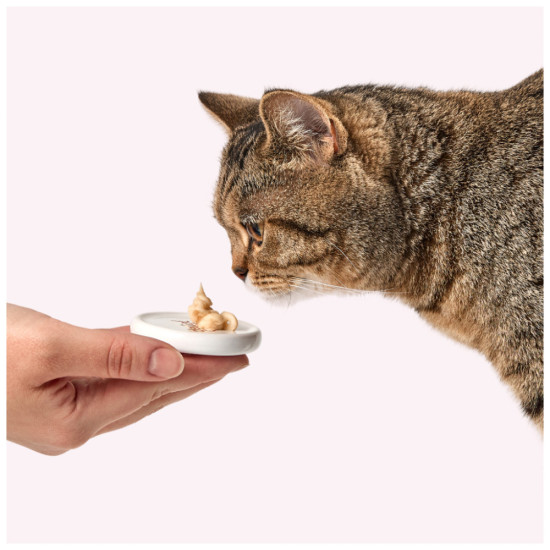 Ласощі для котів Delickcious курка з додаванням сиру та спаржі 4х15 г (4820269145184)