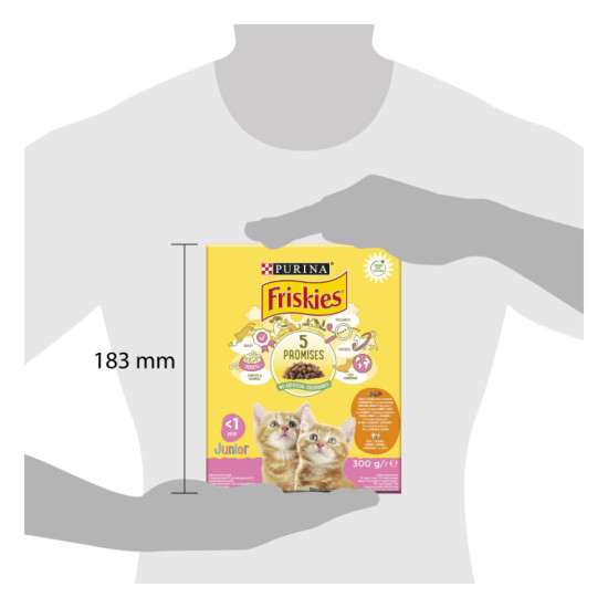 Сухий корм для кішок Purina Friskies Junior з куркою, молоком і овочами 300 г (7613031868360)