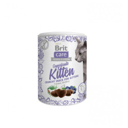 Ласощі для котів Brit Care Cat Snack Superfruits Kitten 100 г (8595602521425)