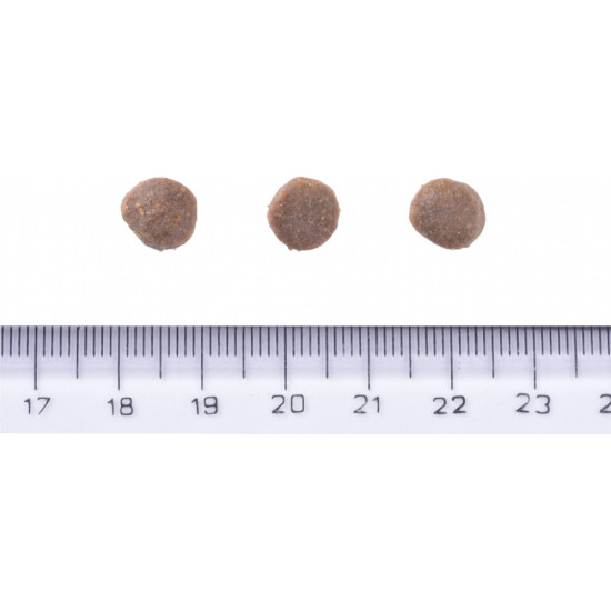 Сухий корм для собак Brit Care Dog Grain-free Puppy з лососем 12 кг (8595602558803)