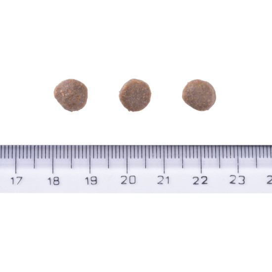 Сухий корм для собак Brit Care Dog Grain-free Puppy з лососем 1 кг (8595602558827)