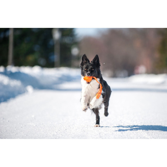 Іграшка для собак Liker Line М'ячик зі стрічкою 7 см (6287)