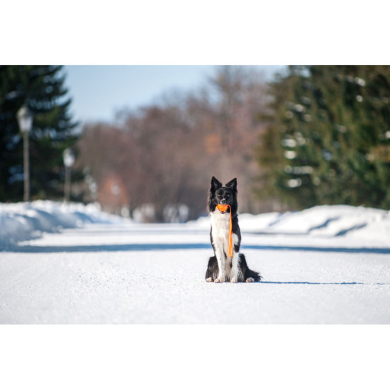 Іграшка для собак Liker Line М'ячик зі стрічкою 7 см (6287)