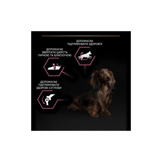 Сухий корм для собак Purina Pro Plan Small&Mini Sensitive Skin з лососем 7 кг (7613035123441)